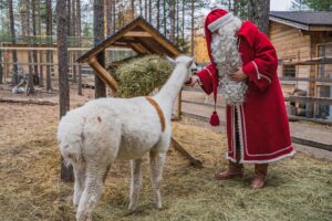 Le Père Noël visite en automne les alpagas de Santa's Pets au Village du Père Noël